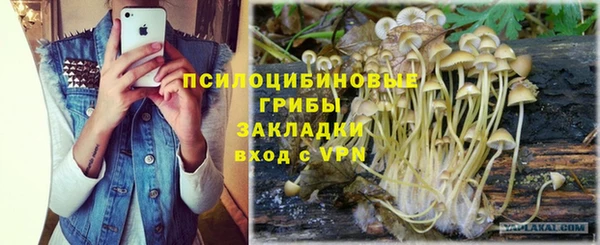 кокс Алзамай