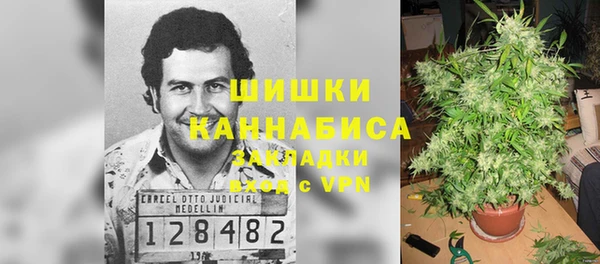 кокс Алзамай
