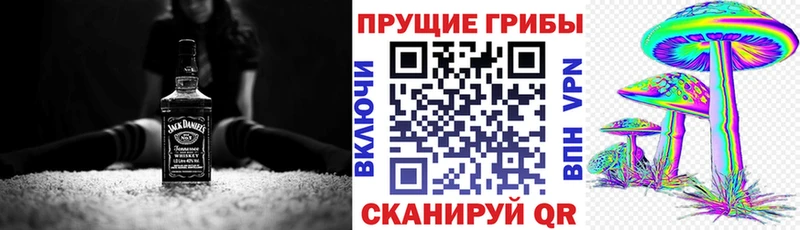 купить наркотики цена  Звенигово  Галлюциногенные грибы Magic Shrooms 